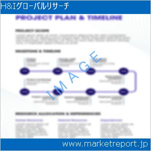 市場と産業調査レポートのイメージ